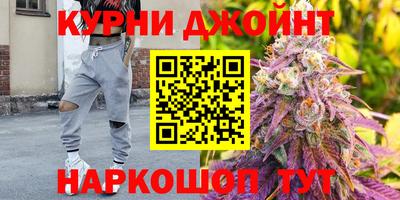 прущие грибы Белорецк