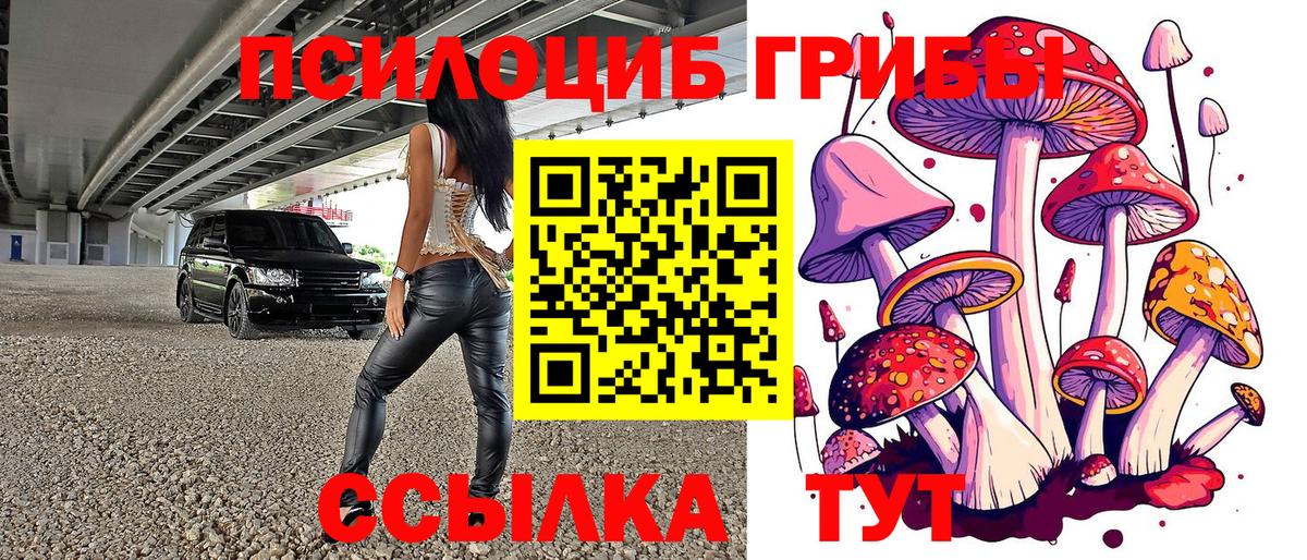 Галлюциногенные грибы прущие грибы Аргун