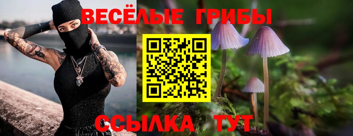 Аргун  Псилоцибиновые грибы Cubensis  Вход с VPN  Псилоцибиновые грибы мицелий 
